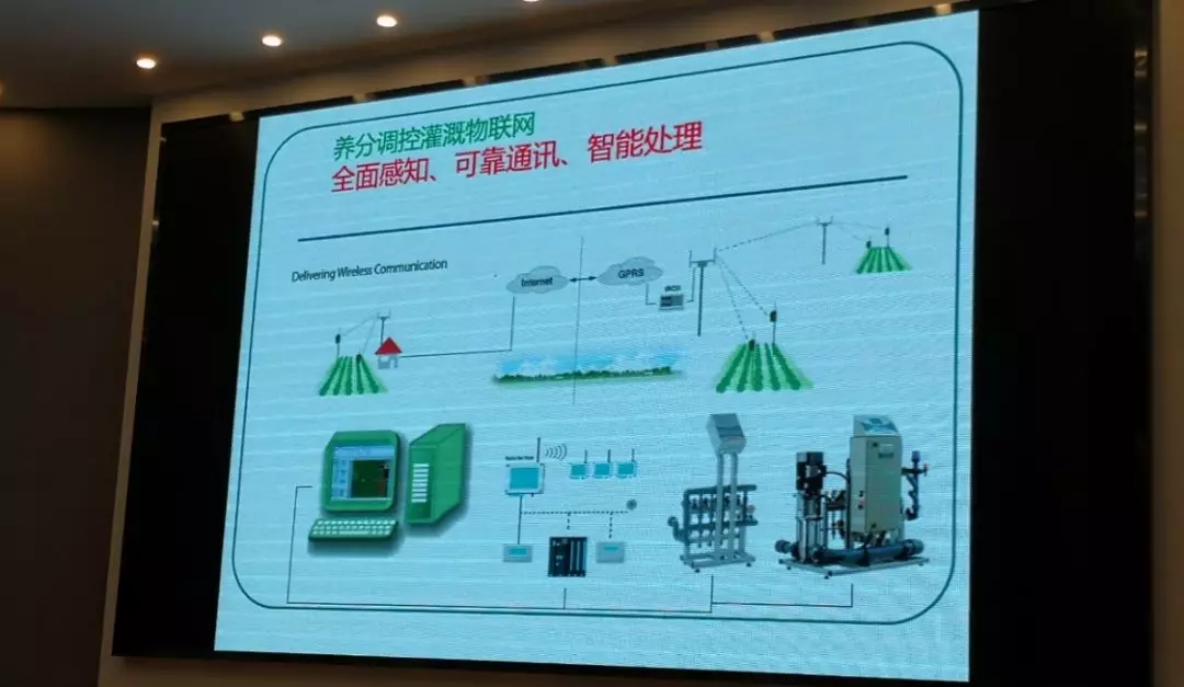 西甲在线观看免费观看