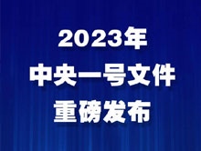 西甲在线观看免费观看