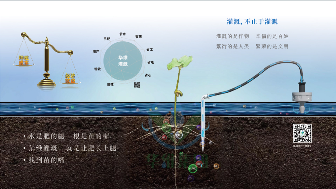 西甲在线观看免费观看